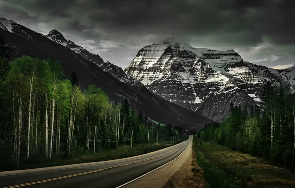 Дорога, лес, горы, природа, Mount Robson