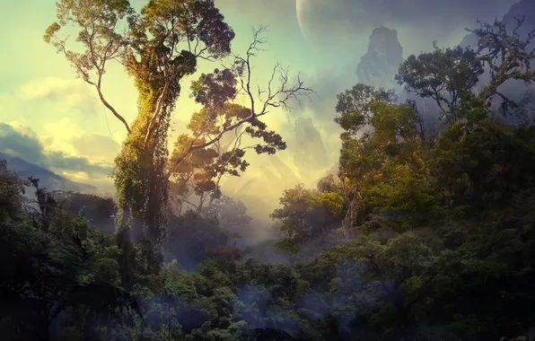 Картинка лес, джунгли, пандора