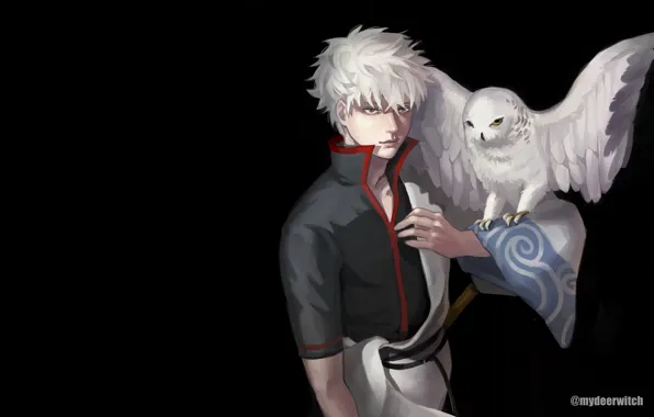 Сова, аниме, парень, Gintama, Sakata Gintoki, Гинтама