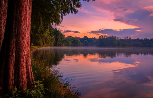 Картинка лес, закат, озеро