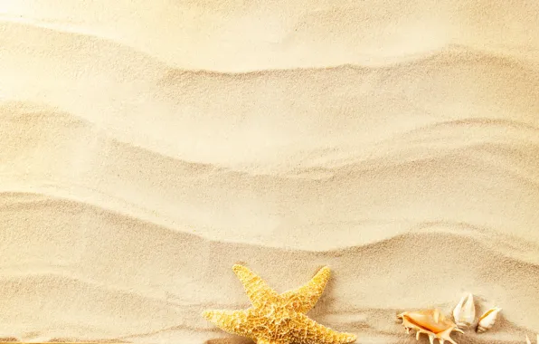 Песок, волны, ракушки, морская звезда