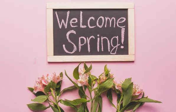 Цветы, лилии, весна, розовые, fresh, pink, welcome, flowers