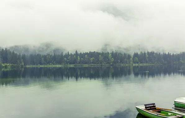 Картинка лес, туман, озеро, лодка, photo, photographer, markus spiske