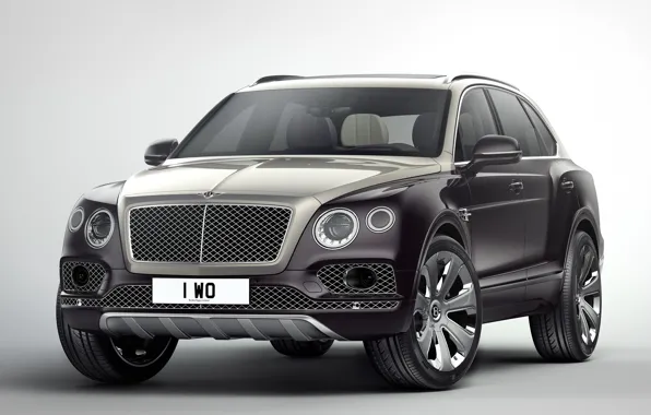 Car, Bentley, Bentley Bentayga Mulliner