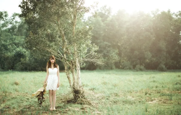 Картинка поле, девушка, дерево
