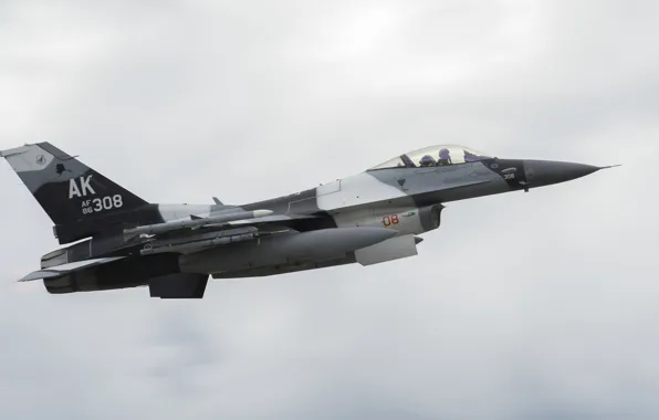 F-16, Fighting Falcon, Red Flag, ВВС США, General Dynamics, истребитель четвёртого поколения, американский многофункциональный лёгкий