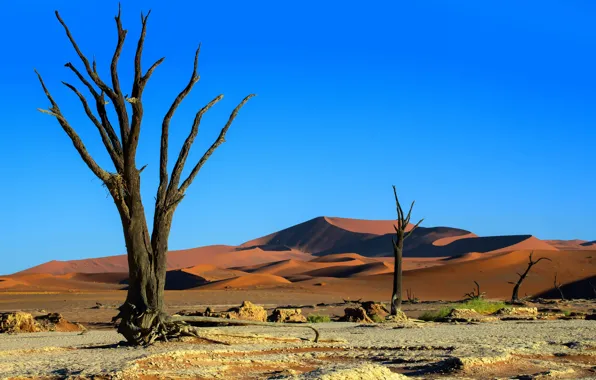 Картинка пейзаж, пески, Набибия