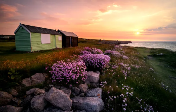Картинка трава, солнце, пейзаж, цветы, восход, камни, остров, Англия