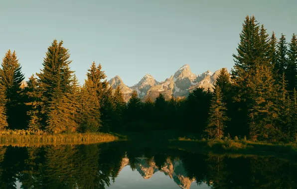 Лес, небо, солнце, деревья, горы, USA, Wyoming, Snake River