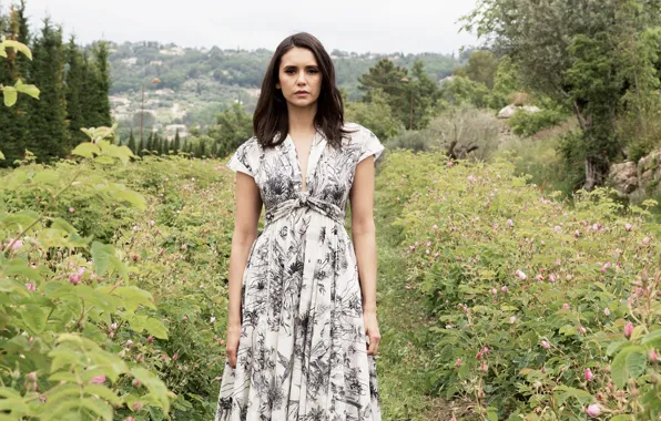 Лето, взгляд, девушка, волосы, платье, красивая, Nina Dobrev, Нина Добрев