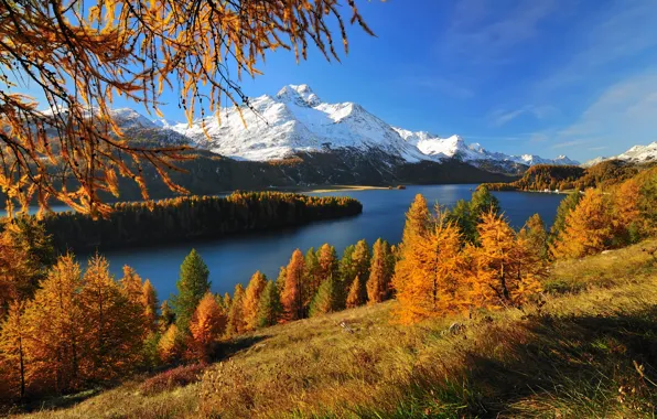 Картинка осень, лес, горы, озеро, Швейцария, ледник, Silsersee