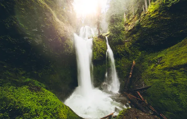 Лес, деревья, водопад, Washington, Falls Creek Falls