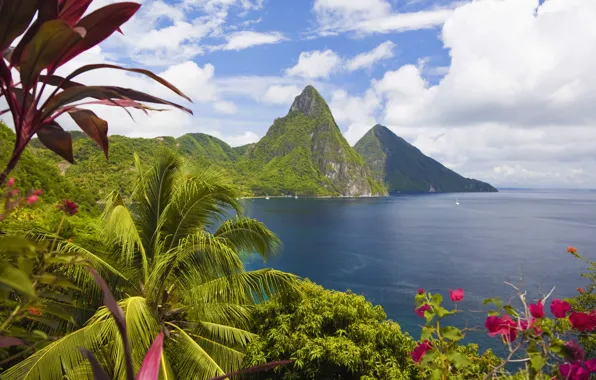 Картинка горы, пальмы, океан, побережье, остров, Карибы