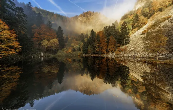 Картинка осень, лес, деревья, природа, озеро, скалы