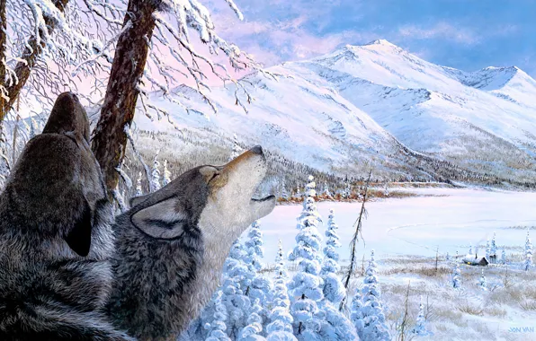 Зима, иней, лес, снег, деревья, горы, ветки, природа