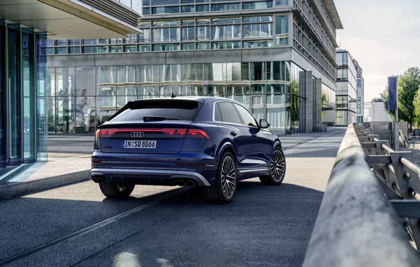 Картинка Audi, rear view, SQ8, Audi SQ8 TFSI