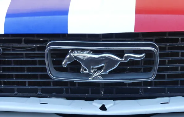 Mustang, ford, french, castellet