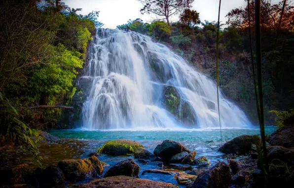 Картинка лес, деревья, камни, водопад
