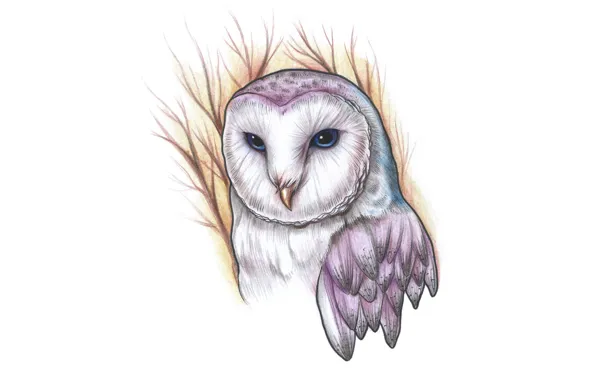 Ветки, сова, птица, живопись, owl