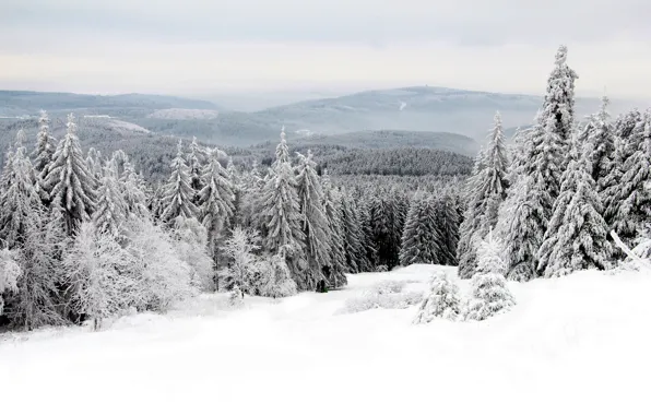 Картинка зима, снег, пейзаж