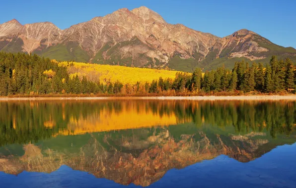 Картинка осень, лес, горы, озеро, отражение, берег, Канада, Banff National Park