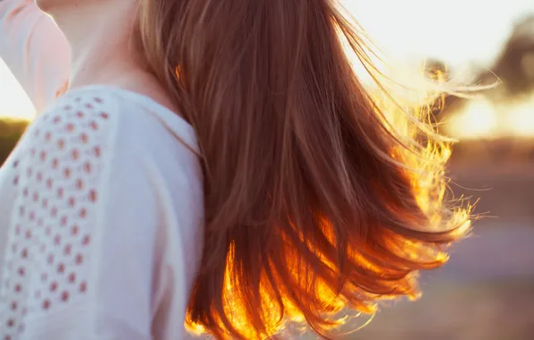 Картинка девушка, солнце, волосы