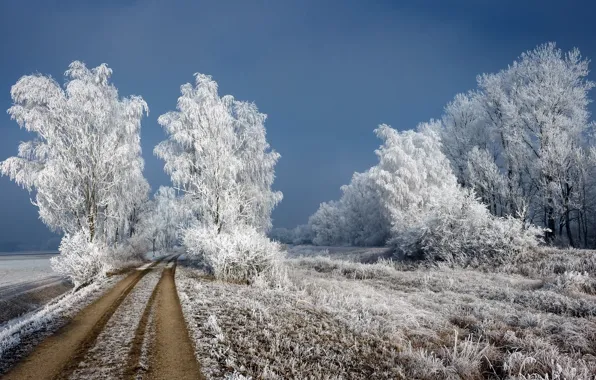 Зима, дорога, снег
