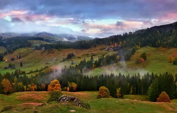 Осень, лес, горы, туман, холмы, склон, Альпы