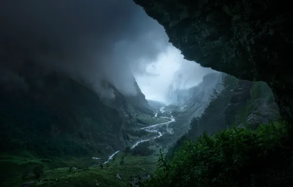 Картинка деревья, горы, природа, туман, река, скалы, ущелье