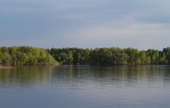 Картинка лес, небо, деревья, тучи, природа, река, весна, вечер