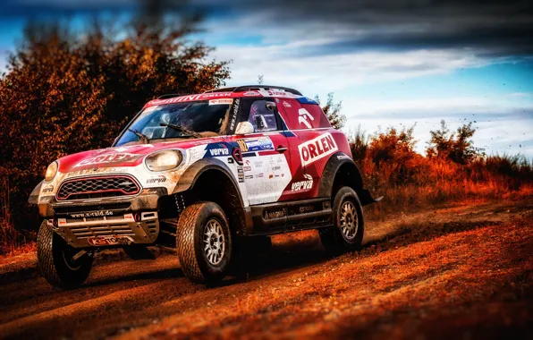 Авто, Mini, Спорт, Машина, Гонка, Rally, Внедорожник, Ралли