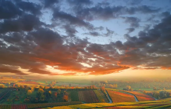 Картинка осень, поля, Облака