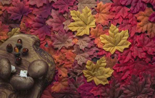 Картинка осень, листья, фон, дерево, грибы, colorful, red, доска