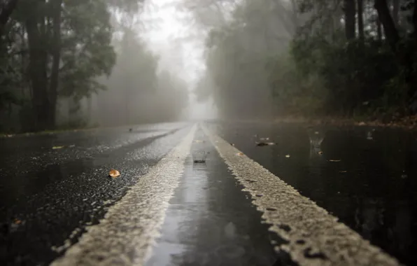 Дорога, капли, дождь, мгла, rainy day
