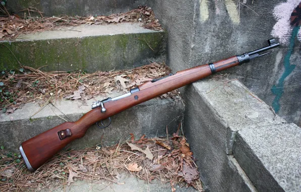 Листья, Винтовка, rifle, m48 mauser