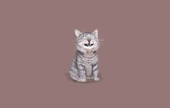 Кошка, кот, минимализм, сидит, смешная морда