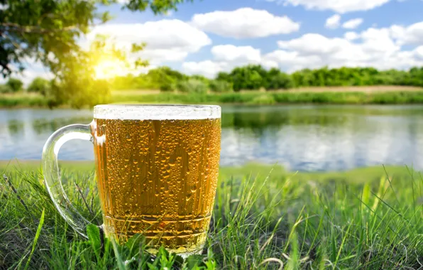 Картинка зелень, лето, трава, солнце, деревья, пиво, кружка, речка
