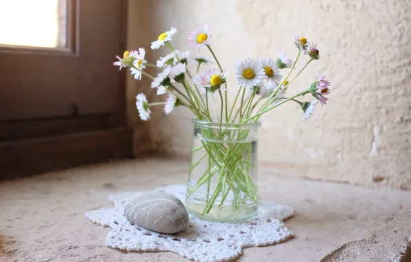 Картинка цветы, ваза, камешек, маргаритки