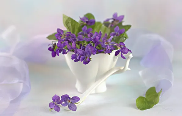 Ложка, чашка, натюрморт, фиалки