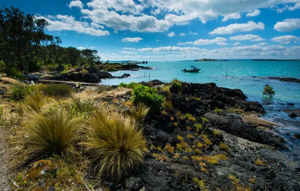 Море, небо, облака, побережье, Новая Зеландия, слнце, Rangitoto Island