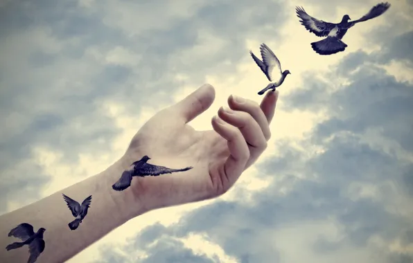 Peace, freedom, tattoo, effect, hand, real, doves, arm