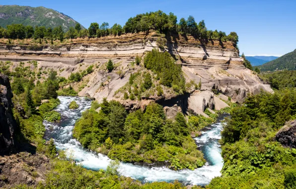 Лес, деревья, горы, скалы, речка, солнечно, Чили, Conguillio National Park