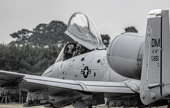 Картинка штурмовик, A-10, Thunderbolt II, «Тандерболт» II