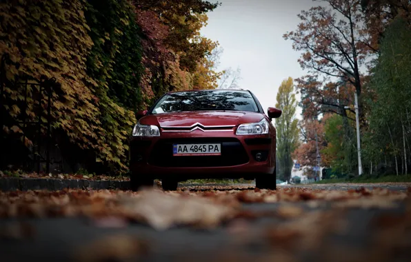 Картинка машина, осень, листья, Ситроен, Citroen, Car, автомобиль, France