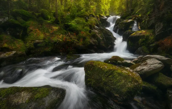 Картинка лес, ручей, камни, водопад, мох, речка