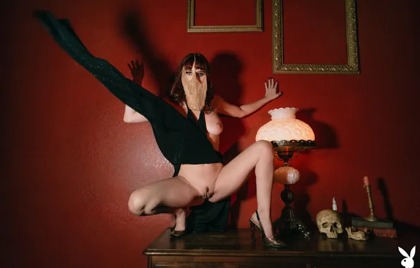Playboy, skull, pussy, breast, lamp, high heels, nipple, pubic hair