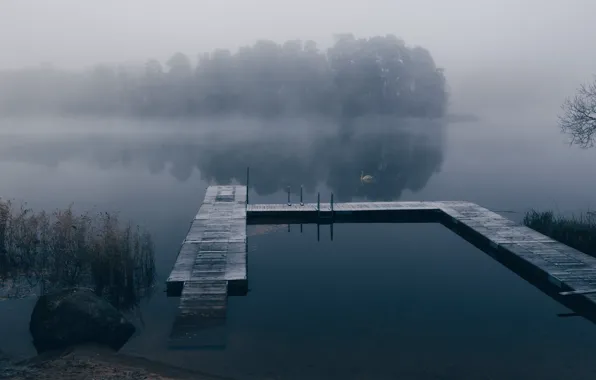 Картинка туман, озеро, причал, лебедь