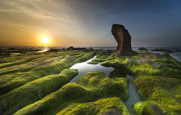 Закат, Природа, Море, Берег, Камни, Водоросли