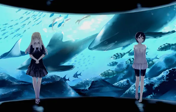 Картинка девушки, аквариум, аниме, Окинава