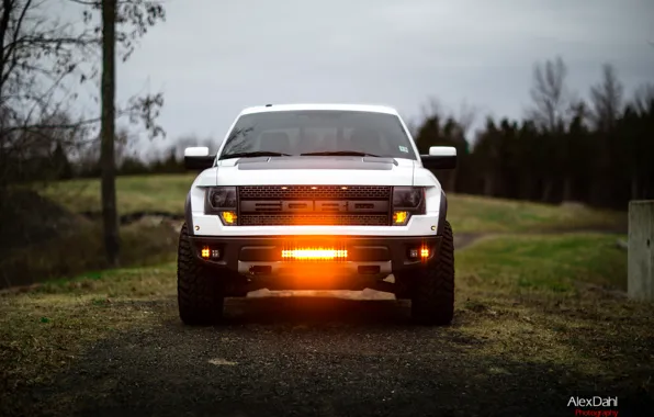 Ford, Raptor, F150